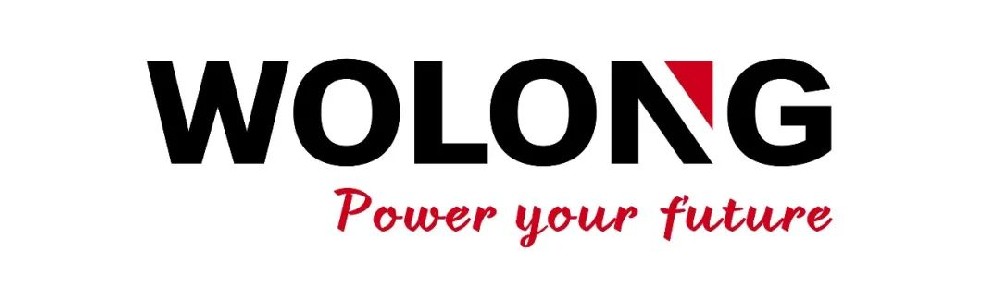 卧龙电气驱动集团股份有限公司